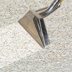carpet carpet-clean-home