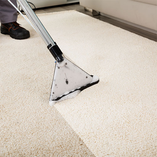 carpet carpet-clean-home