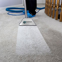 carpet carpet-home